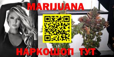 твердый Лесосибирск