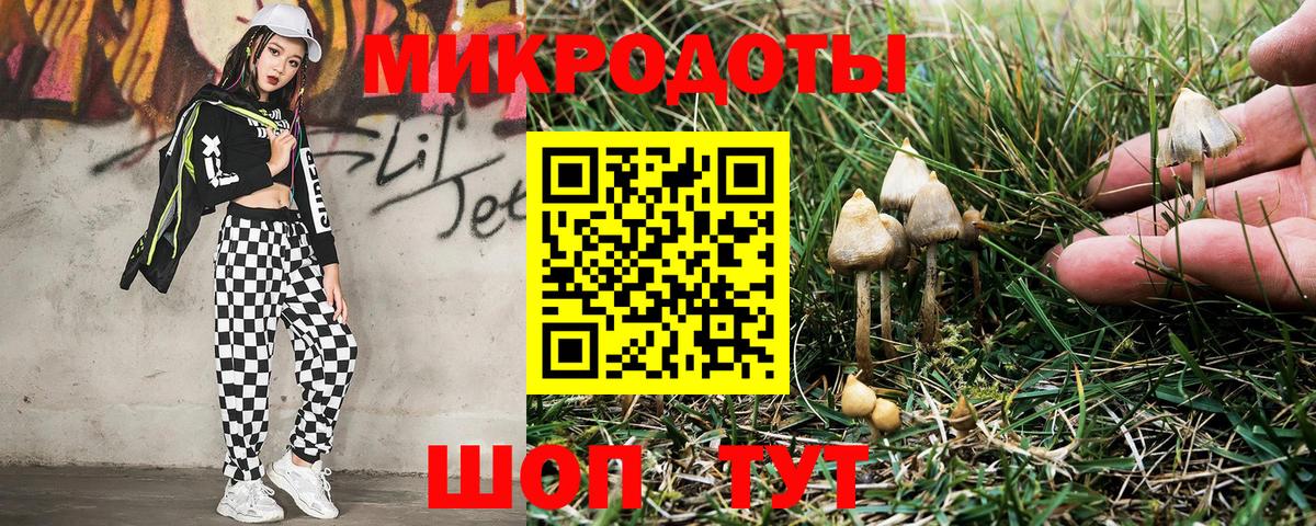 Галлюциногенные грибы Cubensis  Вход с VPN  Дедовск  Галлюциногенные грибы мицелий 